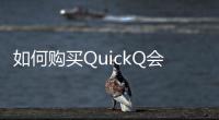 如何购买QuickQ会员，畅享极速服务体验
