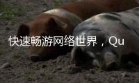 快速畅游网络世界，QuickQ加速器助你轻松突破限制